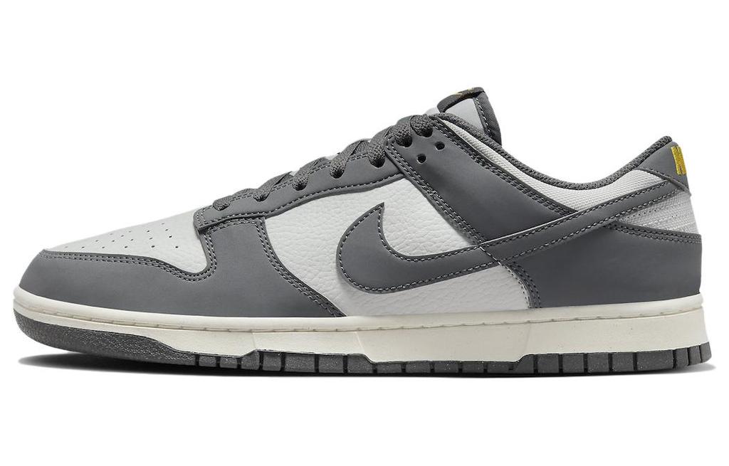 Nike Dunk Low Next Nature Серый Железный FZ4621-001