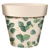 [A2079] - Bamboo Plant Pot 'Eucalyptus' Green Beige - 7x6 Cm