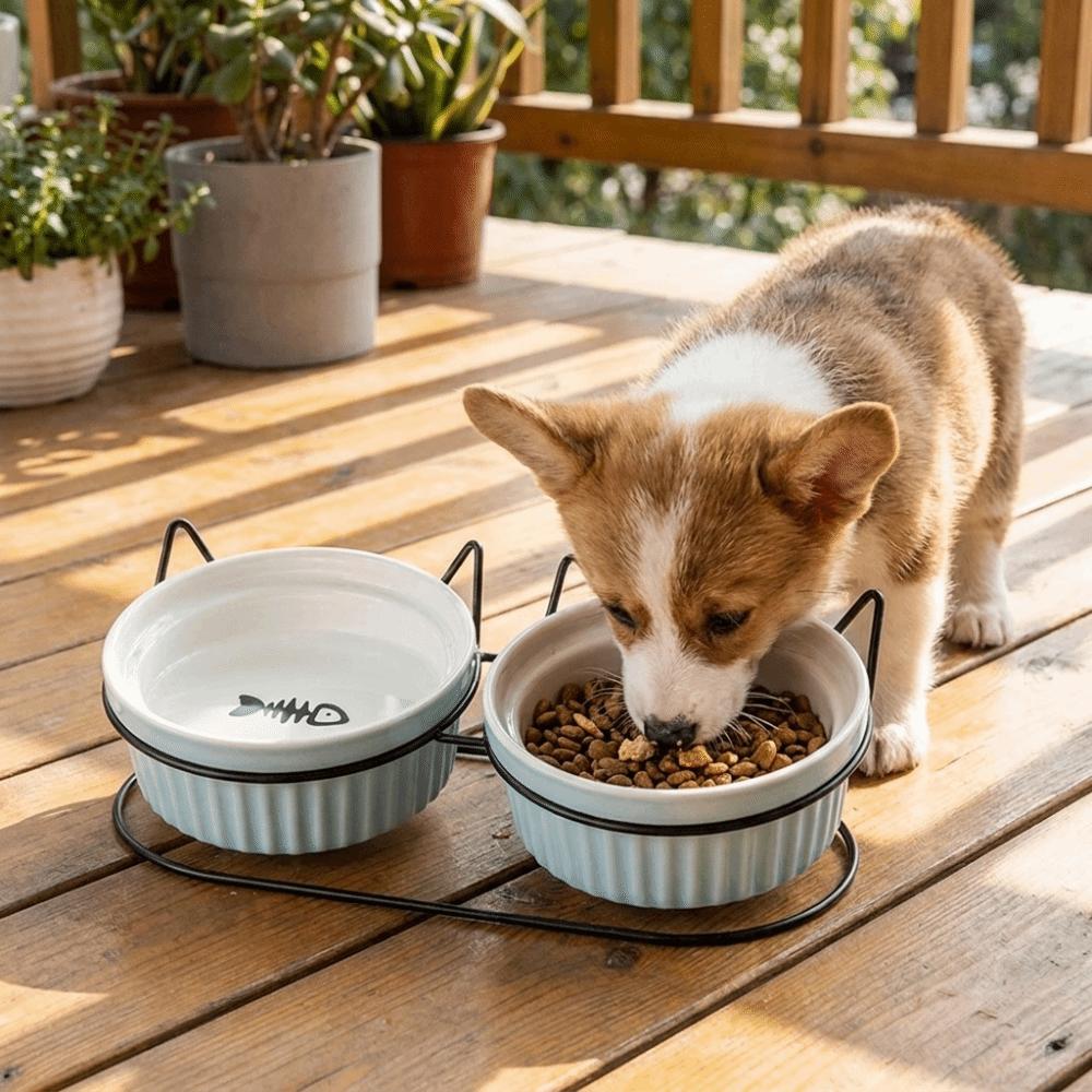 Non-Slip Elevated Cat Double Bowls Prevent Tipping Cat Water Bowls Ceramic Cat Bowls Dog Feeder