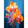 Modern Art Flower Power Poster Aesthetic Canvas Paintings and Prints Wall Art HD Pictures for Home Office Room  Frameless