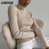 Women Turtleneck Sweaters Autumn Winter Tops Slim Women Pullover Knitted Sweater Jumper Soft Warm Pull