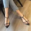 Fashion Women Flats Sandals Pointed Toe Narrow Band Design Sandals Ankle Buckle Strap Clip Toe Roman Style Casual Beach Ladies Shoes
