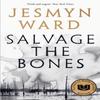Salvage the Bones by Jesmyn Ward Paperback Book 9781408897720