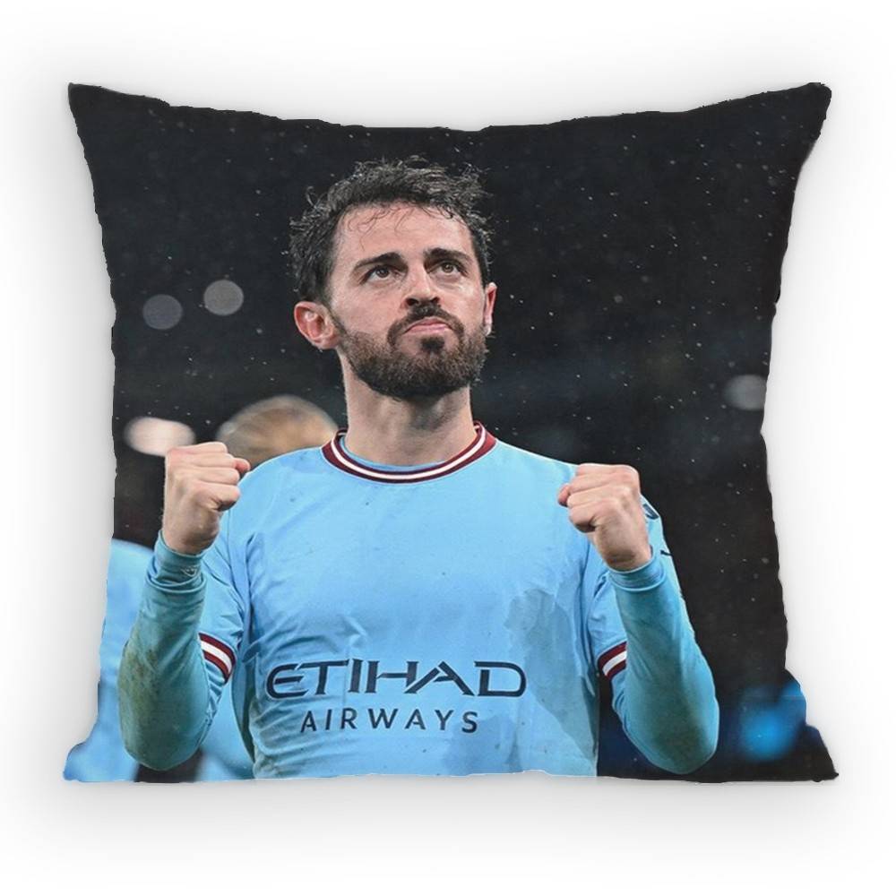 BBernardo SSilva MidCourt Pillow Case Antidustmite Pillowcase Invisible zipper silky short plush Sofa cushion cover