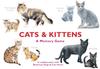 Книга Cats & Kittens : A Memory Game
