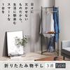 Iris Ohyama Folding Clothes Drying Rack, 3-Row, Black, 150cm Wide x 24cm Deep, Simple Design, Transformable Folding Screen Style, Compact and Function