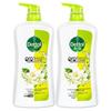 Dettol Fresh Увлажняющий гель для душа, Жасмин и Зеленый чай
