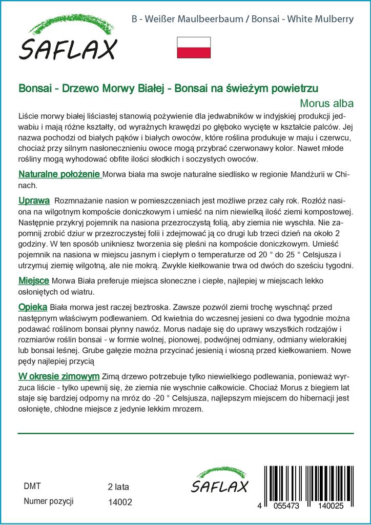 SAFLAX Бонсай - Белая шелковица - 200 семян - С горшечным субстратом для лучшего выращивания - Morus alba