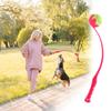 Pet Throwing Stick, Throwing Device, Throwing Toy, Dog And Cat Interactive Ball Picking Pet Toy