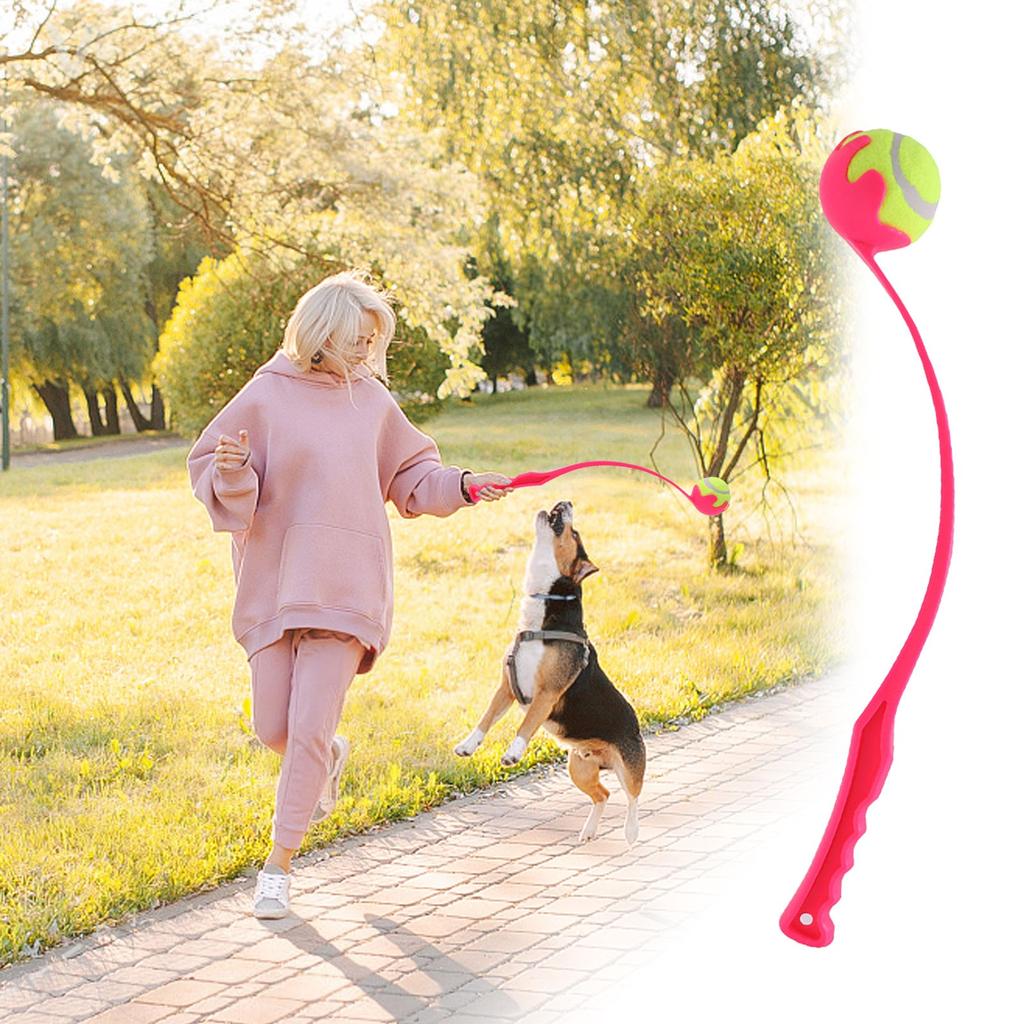 Pet Throwing Stick, Throwing Device, Throwing Toy, Dog And Cat Interactive Ball Picking Pet Toy