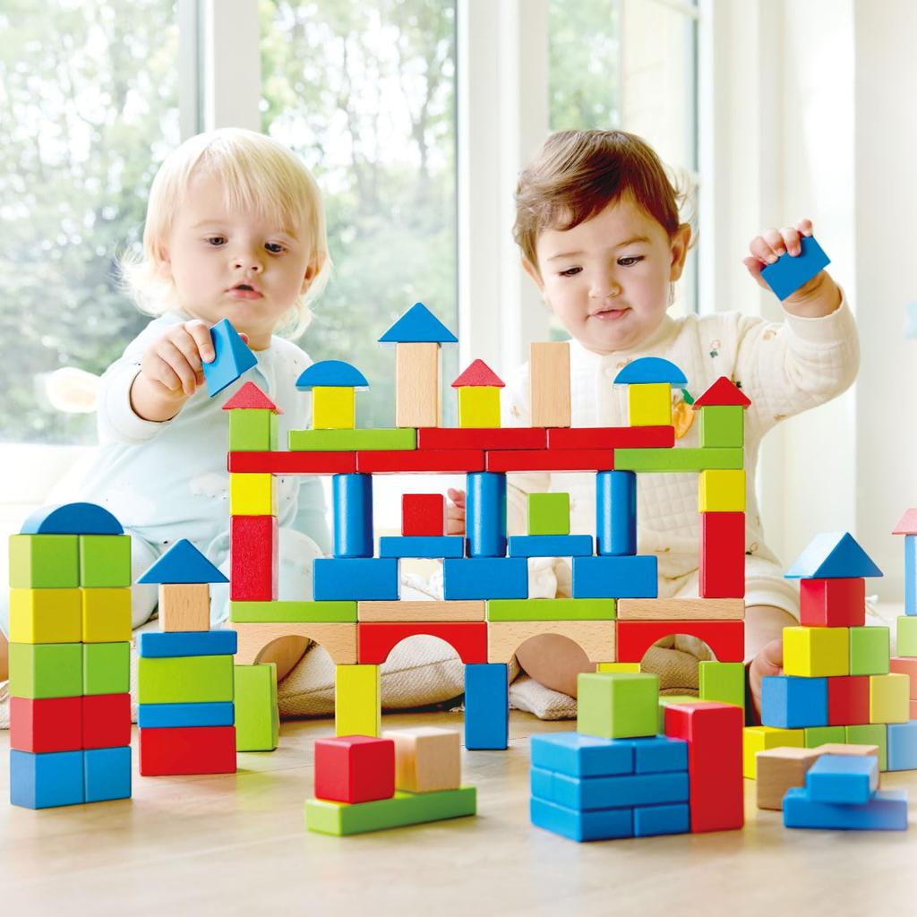Hape Hape Building Blocks 100 E7369