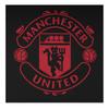 Manchester United FC Мужской комплект пижамы с гербом