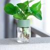 Простая гидропонная ваза для растений Ваза из ПП и ПЭТ-пластика Новое украшение для дома