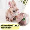 Plush Electric White Rabbit Simulation Pet That Can Walk, Bark, Move Pet Toy