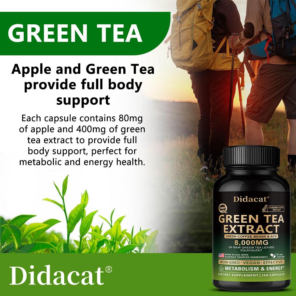Didacat Green Tea Extract 8000MG with Green Coffee Beans & ACV, 120 Capsules for Metabolism & Energy Support
