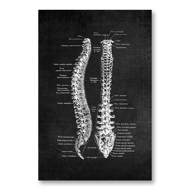 Анатомия человека, холст, картина, скелетное сердце, картина, украшение, плакат, подарок, спальня, настенные художественные принты, современный домашний декор, эстетический