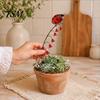 Ladybug Snail Pot Stakes Garden Window Charm Stakes, Whimsical Nature Collection Dragonfly Decor Decorative Plant Stake, for Flower Pots Decorations