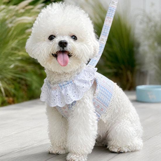 jijijing 1 Set Dog Harness And Leash, Floral with Lace Trim, Breathable Stylish Leash for Small Dogs