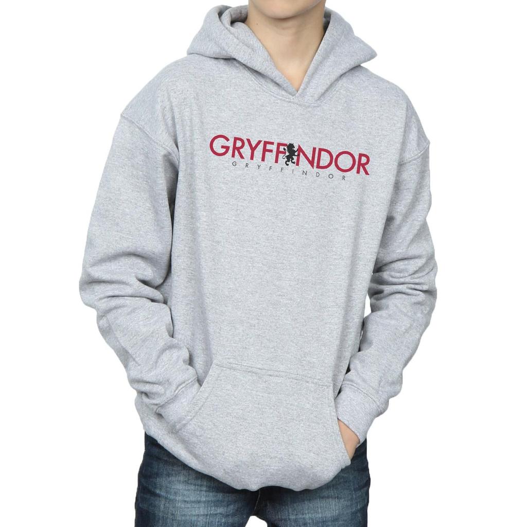 Harry Potter Boys Gryffindor Text Hoodie