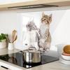 Tempered Multifunctional Decorative Glass Board Two Little Cats 80x52 cm