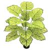 Artificial Calathea Floor Pot Plant: Large Leaf Décor for Living Room & Indoor Spaces