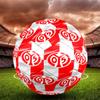 05 1FSV Mainz 05 Print Size 5 Soccer Ball, Standard Match Football for Sports Game and Team Practice, Ideal Gift for Soccer Fans