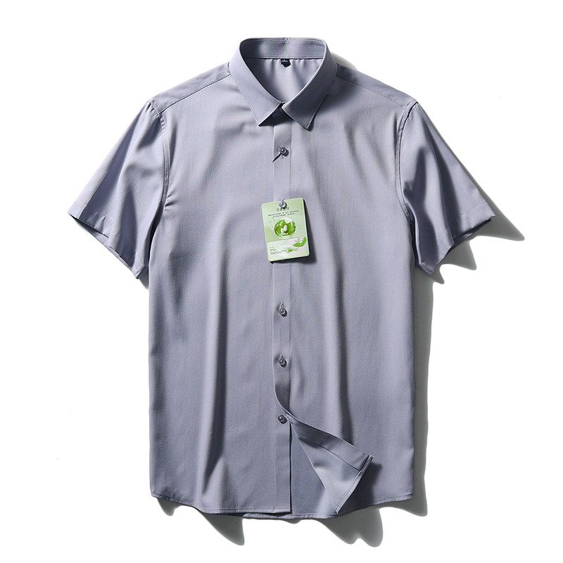 Mulberry Silk Short Sleeve Shirt Men's Summer Ice Silk 2024 New Coat Export Export Men's Clothing Business Casual Shirt