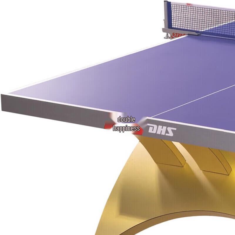 DHS Professional Outdoor Ping Pong Table