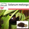 Баклажаны - 20 семян - С горшечным субстратом для лучшего выращивания - Solanum melonga