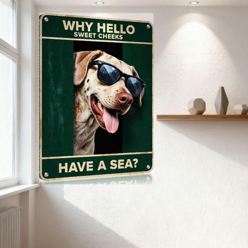 Why Hello Sweet Cheeks Dog Spotted Labrador with Sunglasses Have a Sea? Vintage Metal Tin Sign Green Beige Border Rustic Wall De