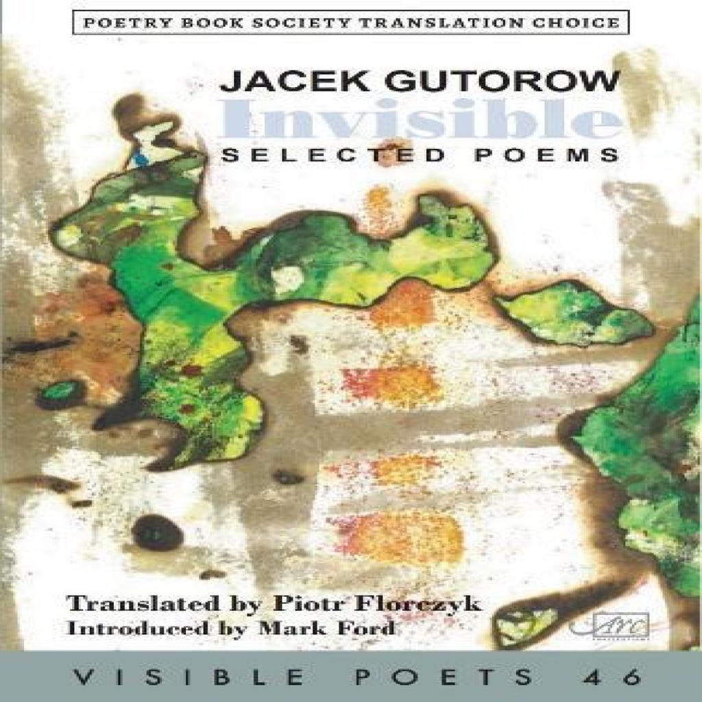 Invisible by Jacek Gutorow Paperback Book 9781911469971