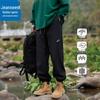 Мужские брюки-джоггеры для треккинга Jeanswest, для улицы, ветрозащитные, водонепроницаемые