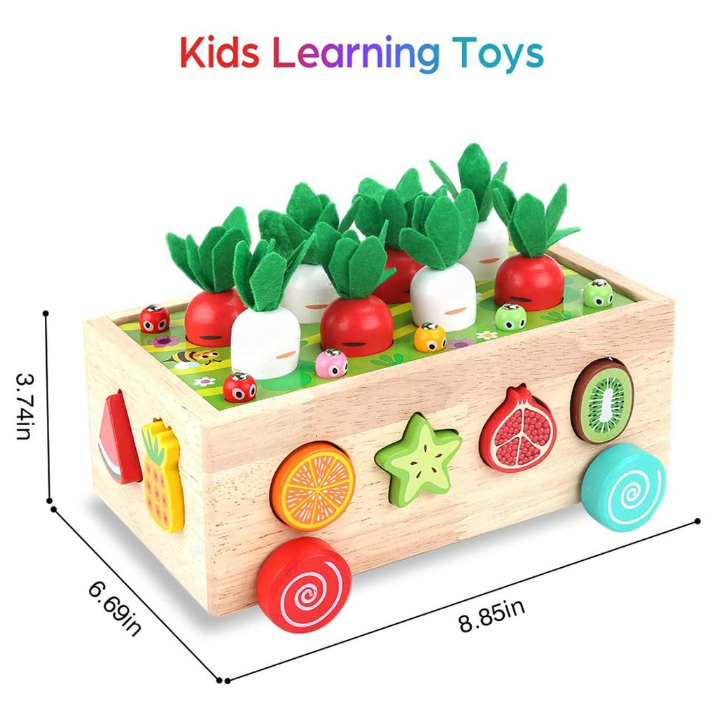 Toddlers Montessori Wooden Educational Toys for Boys Girls Age 1 2 3 Year Old, Shape Sorting Toys Gifts,Wood Preschool Learning Fine Motor Skills Game
