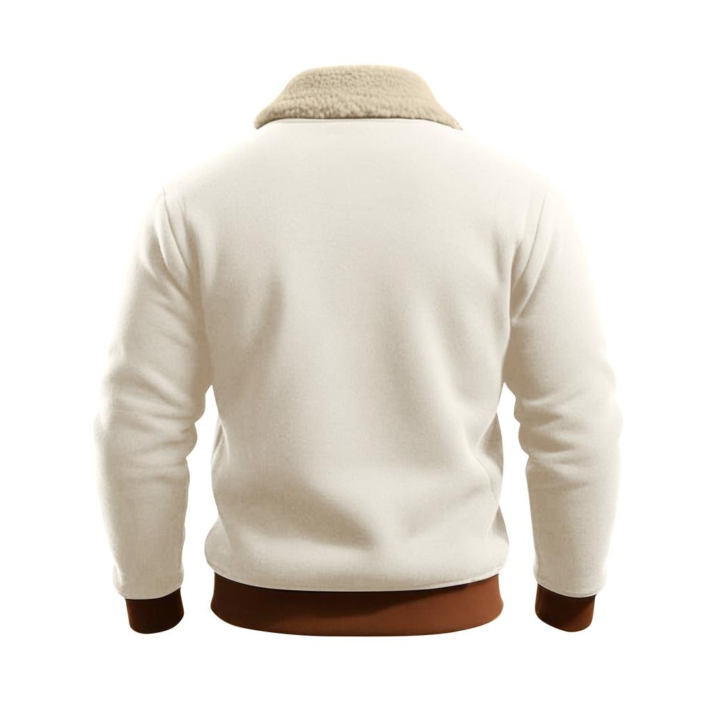 Мужская однотонная плюшевая толстовка с воротником-стойкой на молнии до середины груди, спортивная повседневная толстовка больших размеров