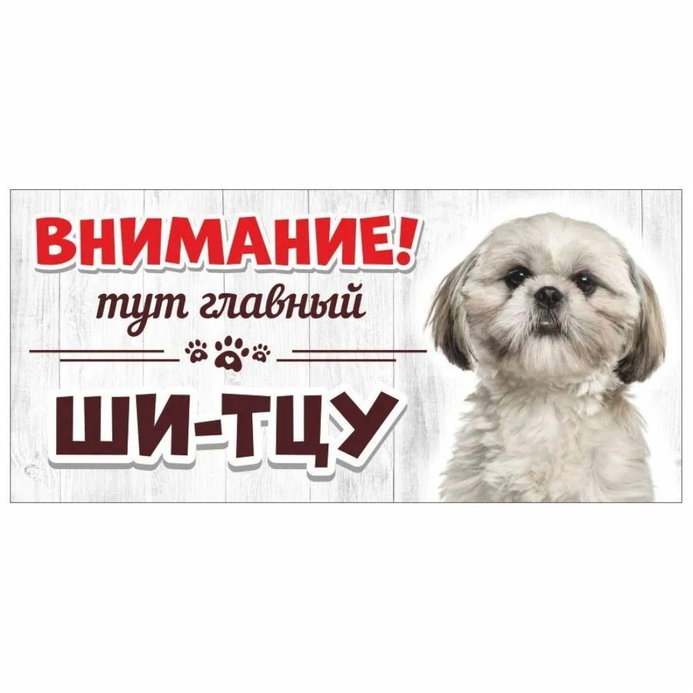 Злой Шпиц Померанский Знак, Металлическая Табличка на Дверь Забора 30x15см