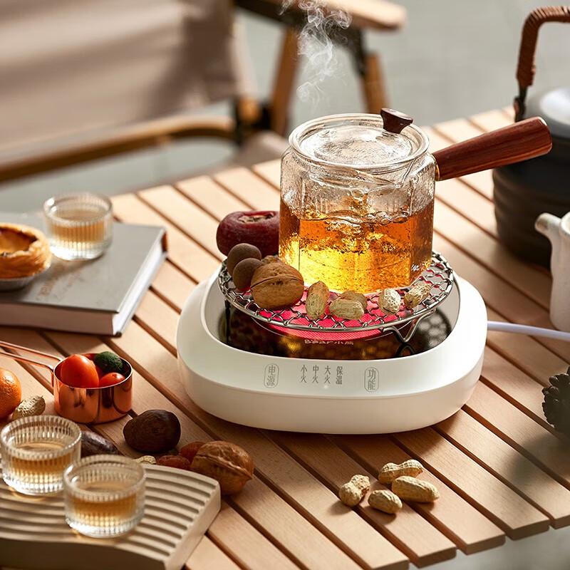 Bear 0.6L Multifunction Electric Health & Tea Pot CN plug (adapter included)