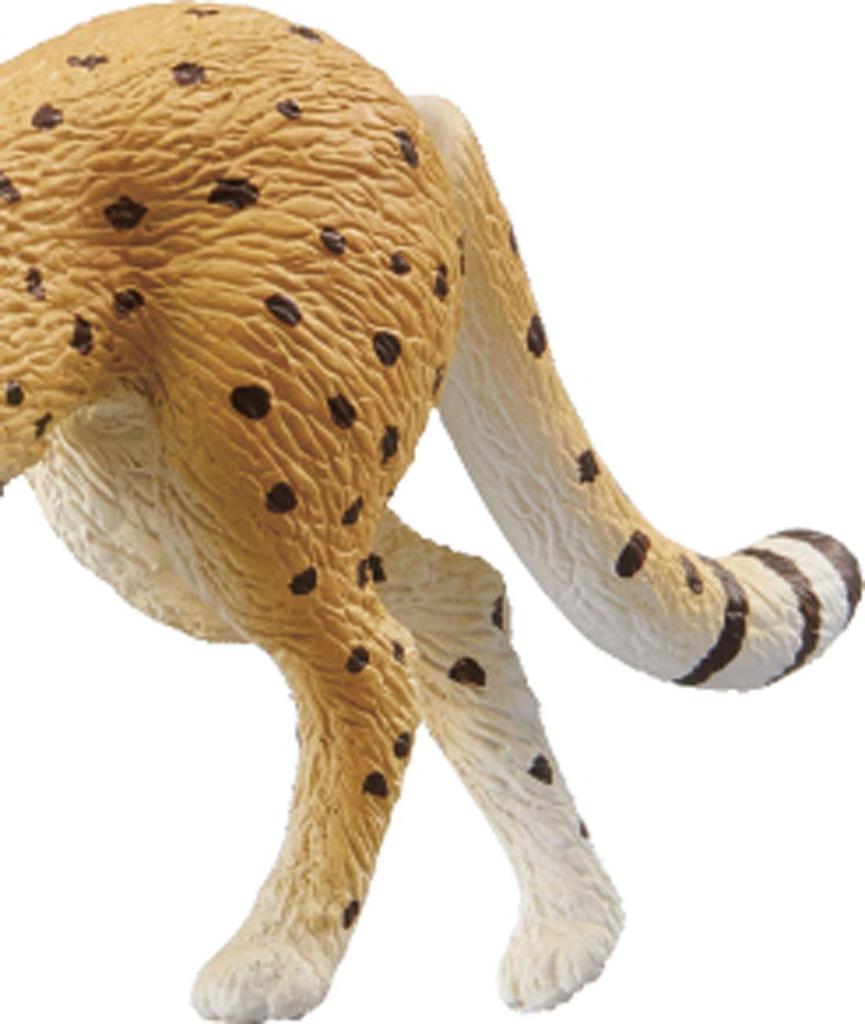 TAKARA TOMY Гепард Животное Динозавр Реалистичная движущаяся фигурка Игрушка Возраст от 3 лет и старше Соответствует стандартам безопасности игрушек Сертификация ST Mark ANIA TAKARA TOMY "ANIA