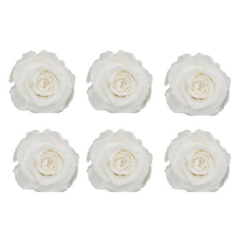 6шт/кор. 5-6см сохранившийся цветок бессмертная роза DIY Валентина свадебный праздник подарок