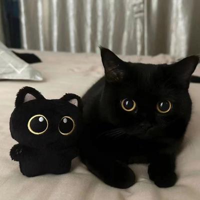 Милая плюшевая игрушка «Черный кот» Кукла Маленькая подвеска Мягкая подушка Подушки Ins