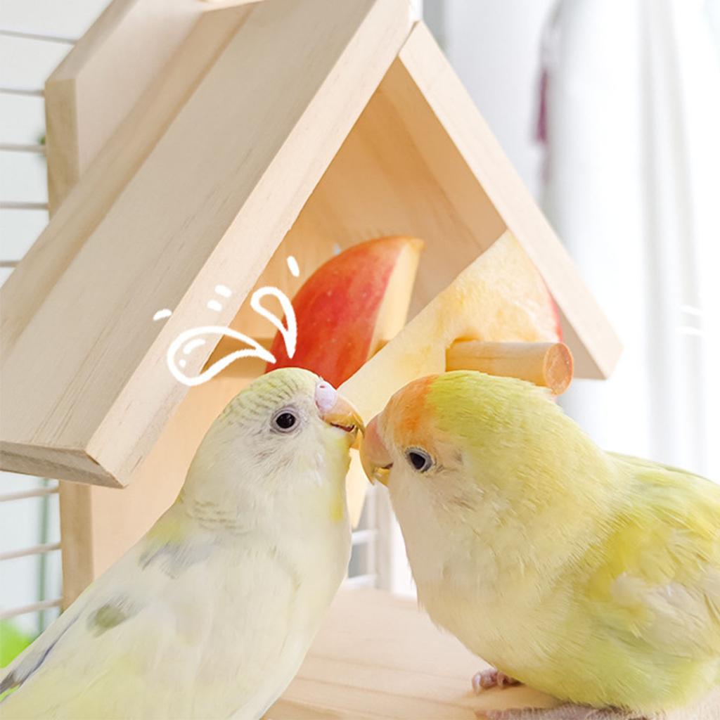 Подставка-жердочка для птиц, кормушка, молярная подставка для попугаев, товары для корелл, жердочки для волнистых попугайчиков, точилки-царапки для маленьких и средних попугаев, игрушка