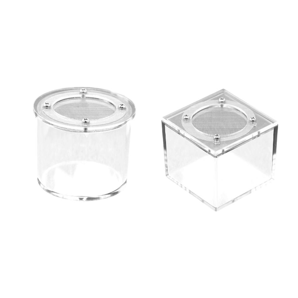 Reptile Breeding Box Spider Box Acrylic Sturdy Small Terrarium Breeding Tank Transparent Reptile Tank for Gecko Scorpions