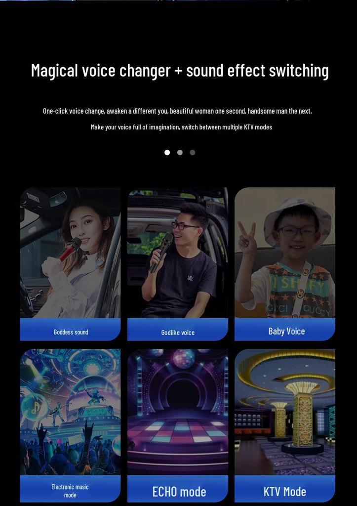 Bluetooth Автомобильное FM-радио Беспроводной KTV Микрофон
