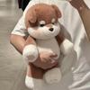 Бегающая плюшевая игрушка кукла Интерактивное чучело животного с двигающимися ногами Мягкая танцующая мимикрирующая фигурка Креативный подарок для детей взрослых