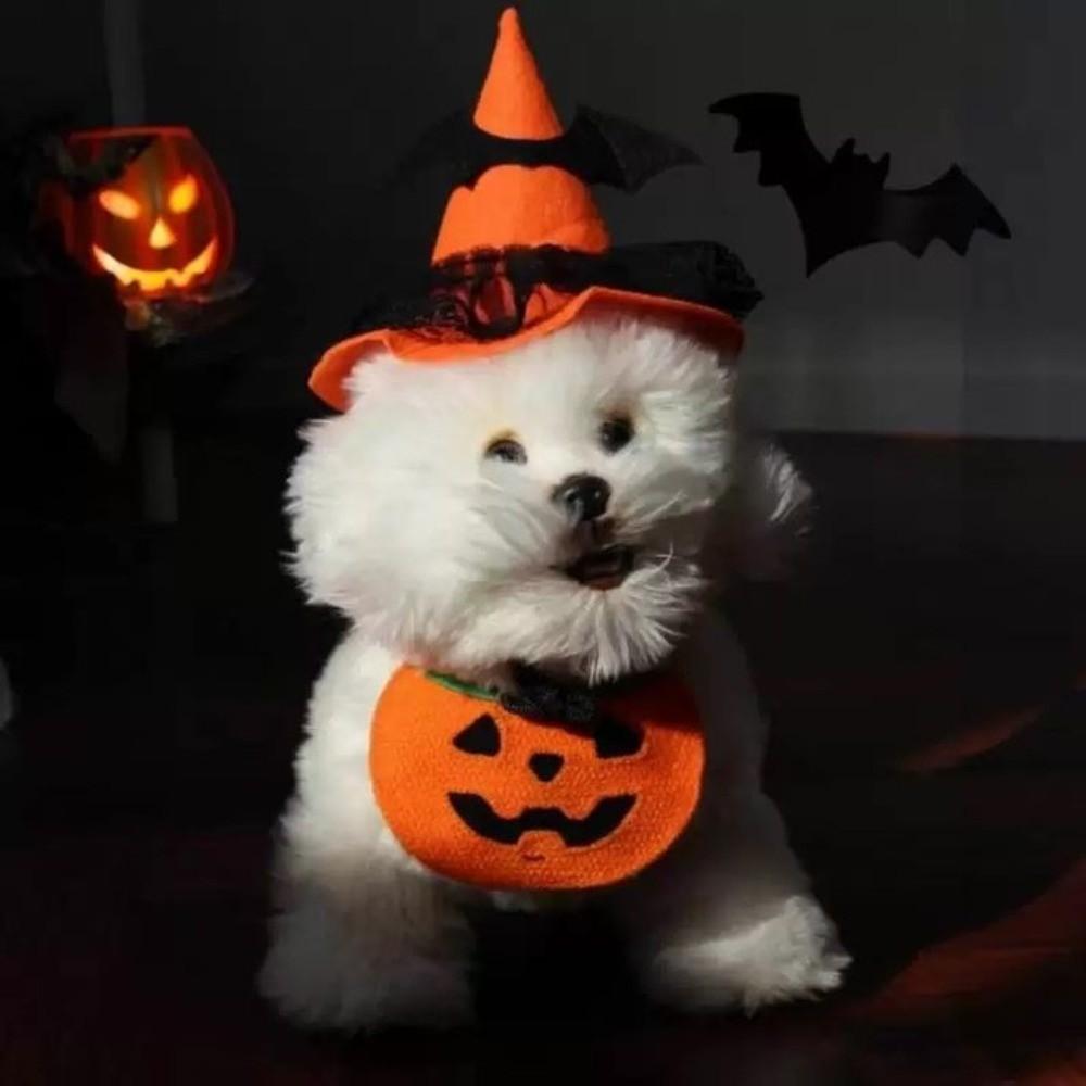Comfortable To Wear Pumpkin Dog Scarf Adjustable Kitty Saliva Towel Halloween Pet Bib  Cosplay