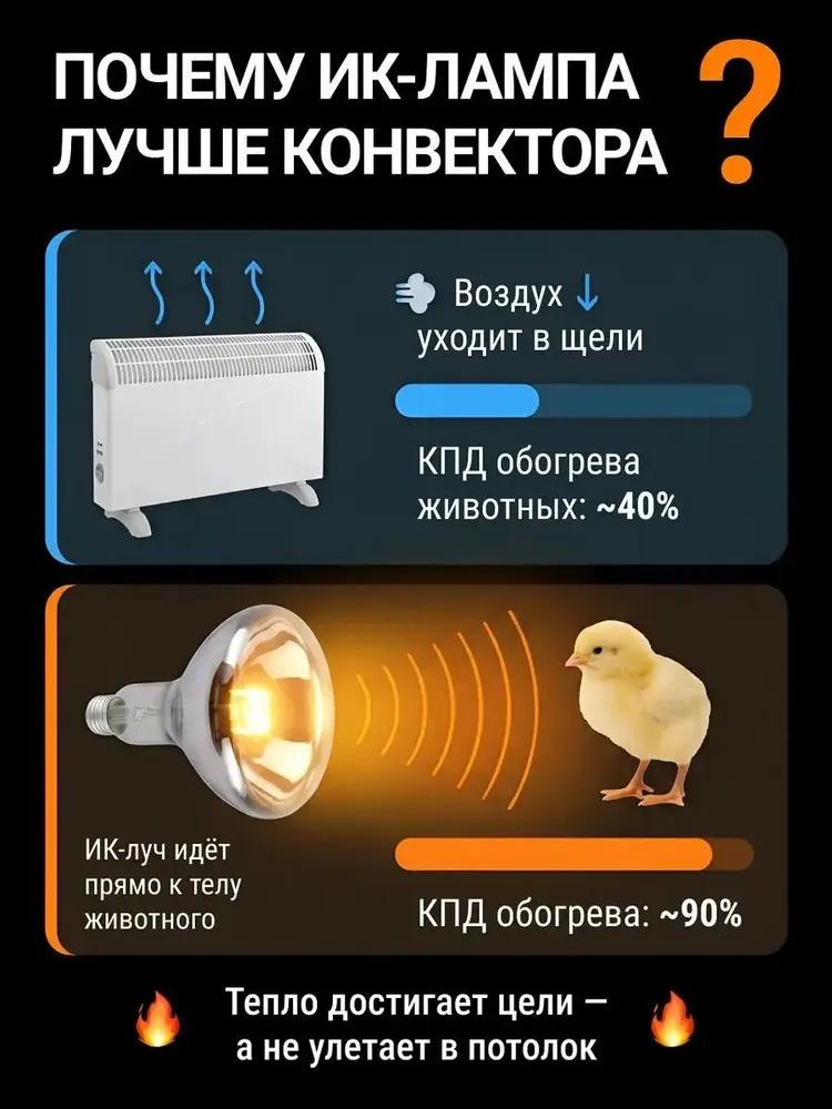 Livestock Heating Equipment