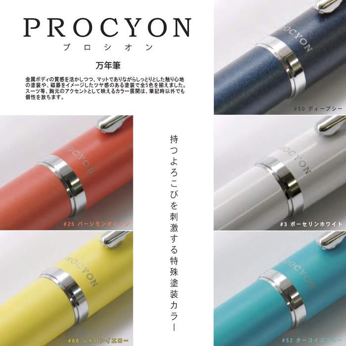 [Platinum] Fountain Pen Procyon #3 Porcelain White Fine Tip PNS-5000 3-2