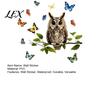 Decorative Party Window Sticker Owl Butterfly Wall Sticker, Forest Animal Illustration Decals, Nature Inspired Balcony Glass Decor Waterproof