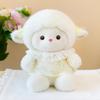 Pastoral Floral Small Woolen Doll Removable Lace Skirt Doll Girl Desktop Ornament Gift Toy