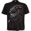 Spiral Direct Unisex Adult Dragon Shards T-Shirt