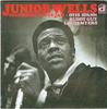 CD JUNIOR WELLS & BUDDY GA - south side blues jam PCD5278 P-Vine Records Japan Блюз Б/У